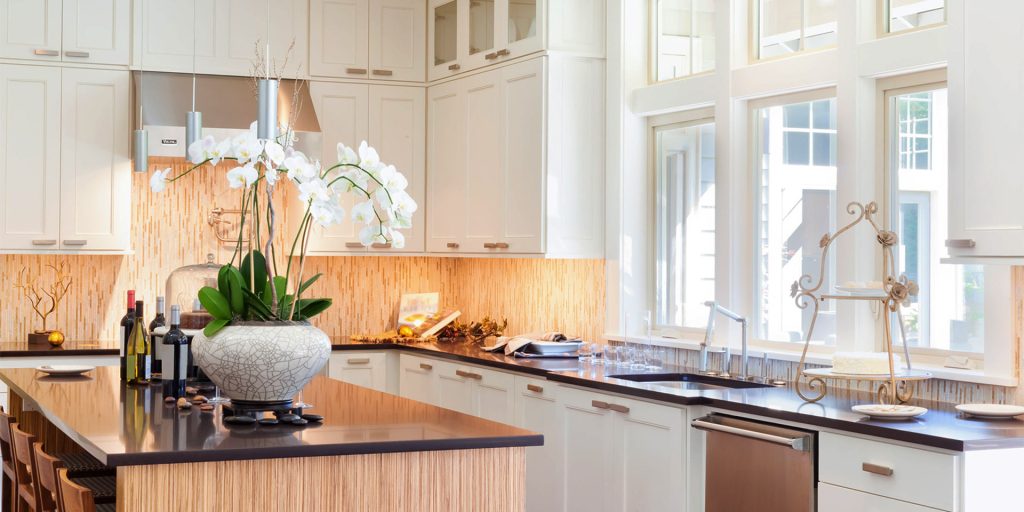 sunshine-coast-pest-control-kitchen